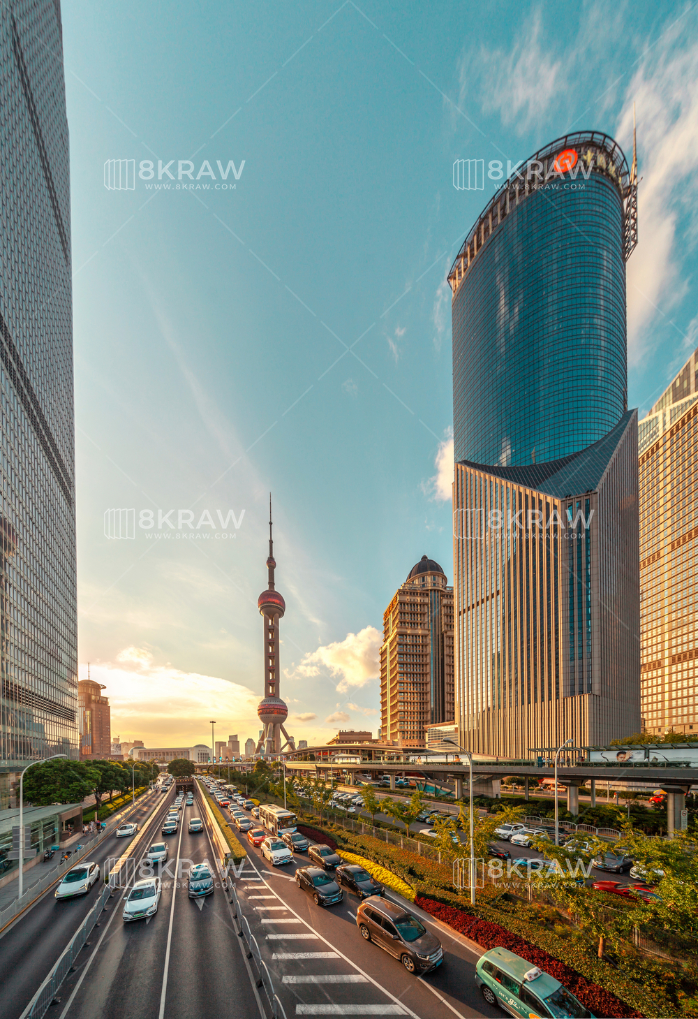 8KRAW官方网站 - 正版视频图片素材库
